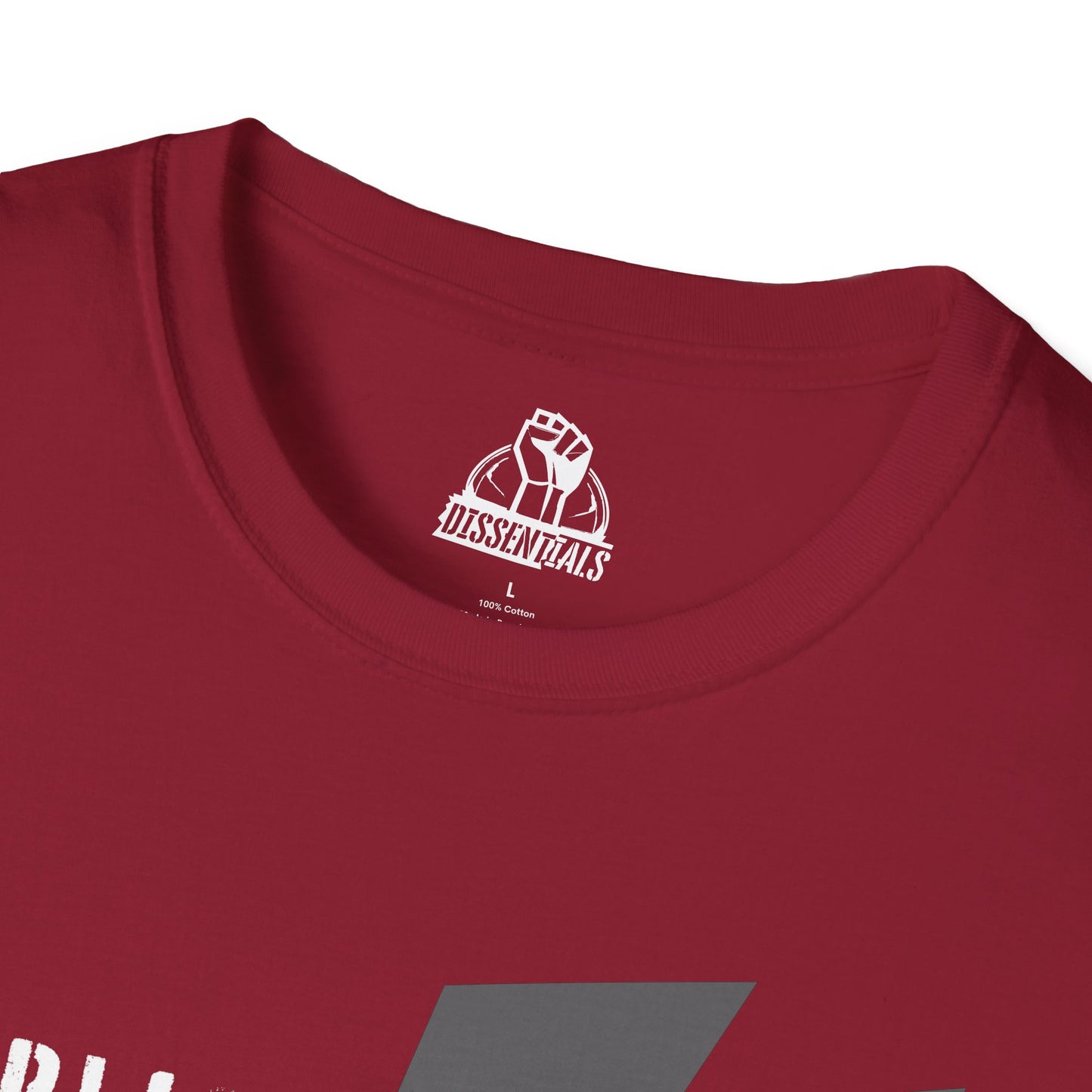 Compliance Does Not Guarantee Safety - Unisex Softstyle Tee