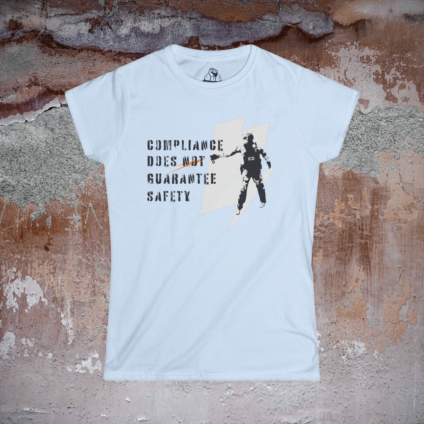 Compliance Does Not Guarantee Safety - Women's Softstyle Tee