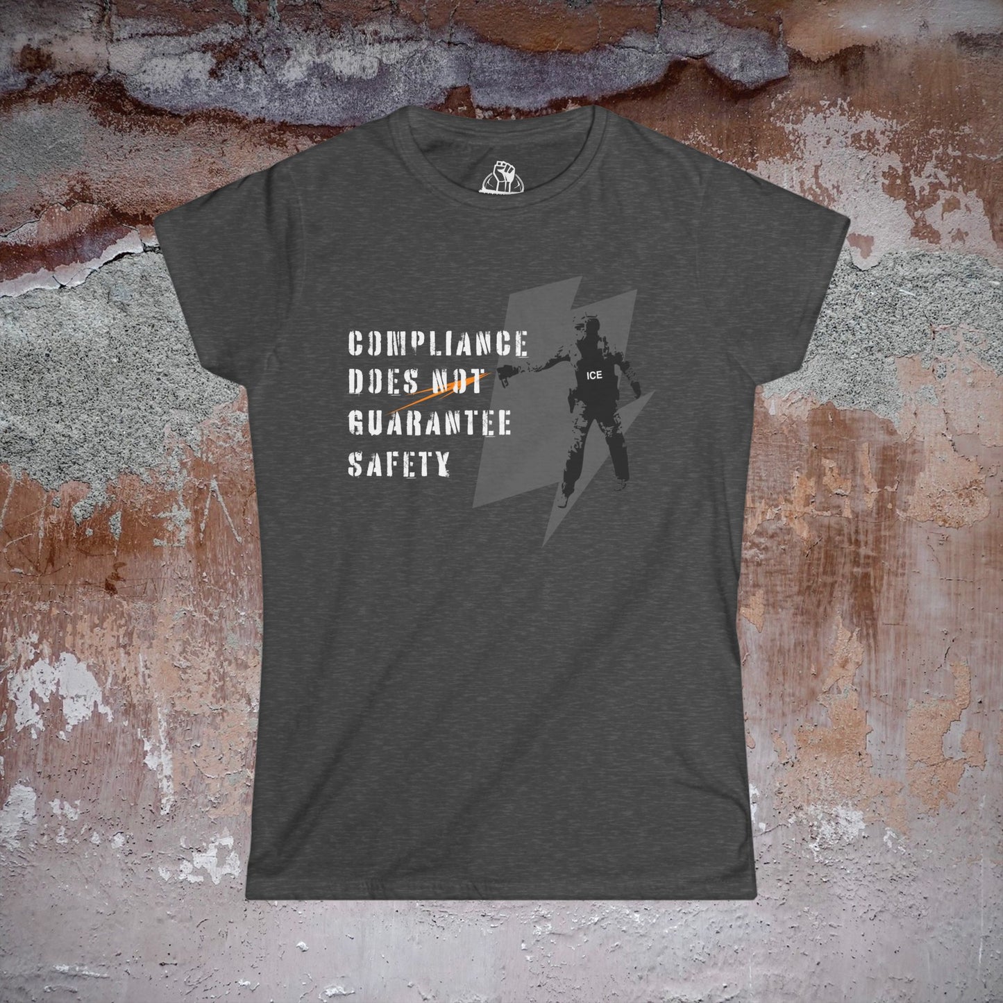 Compliance Does Not Guarantee Safety - Women's Softstyle Tee